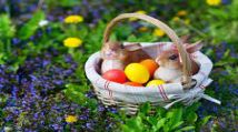 Húsvét a Fertő-tájon